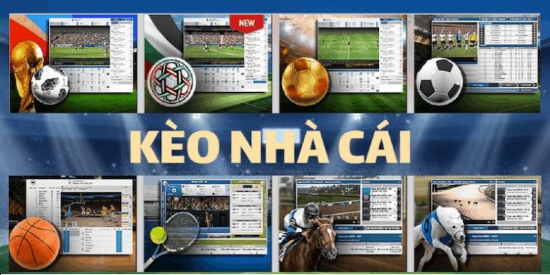 Một số kèo cược nhà cái phổ biến được nhiều người chơi tham gia